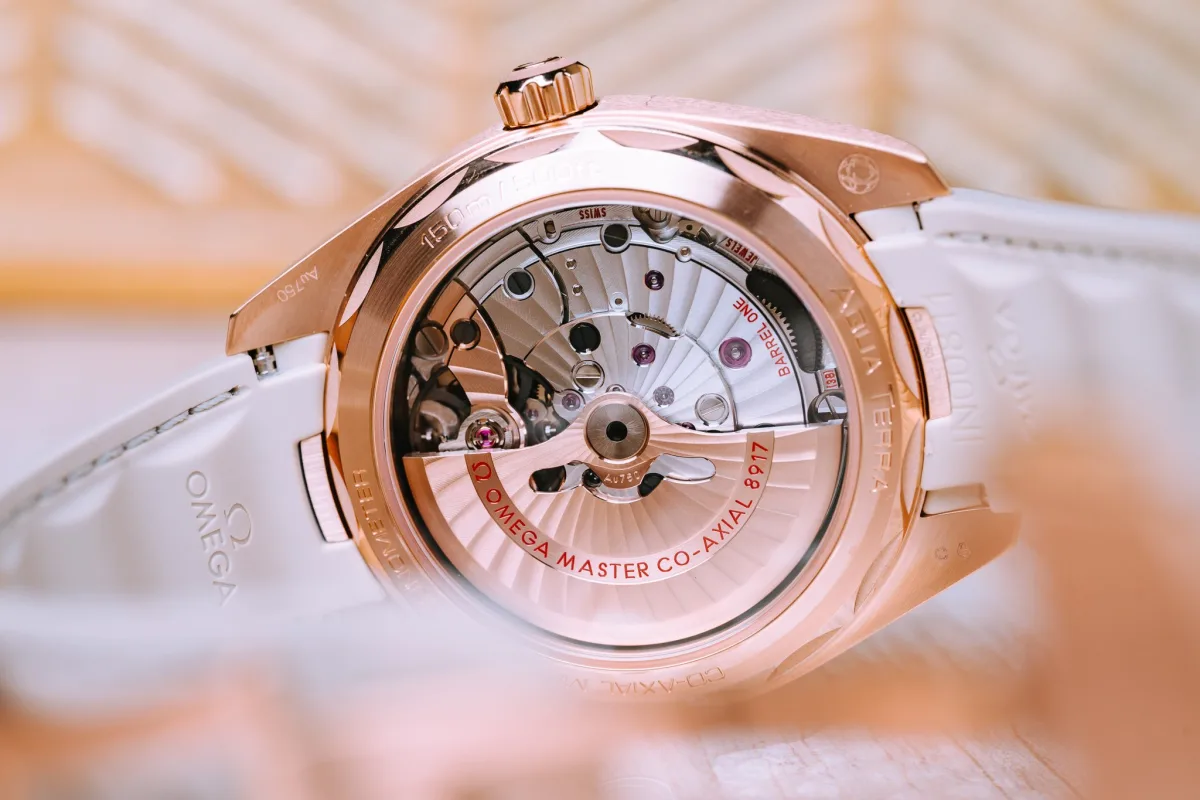 Omega Seamaster Aqua Terra watch by a pool