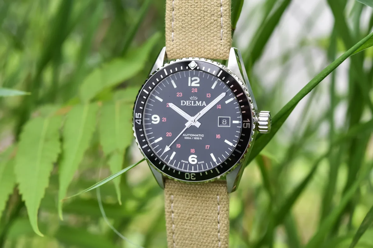 Delma Cayman Field Watch close-up of the case and bezel