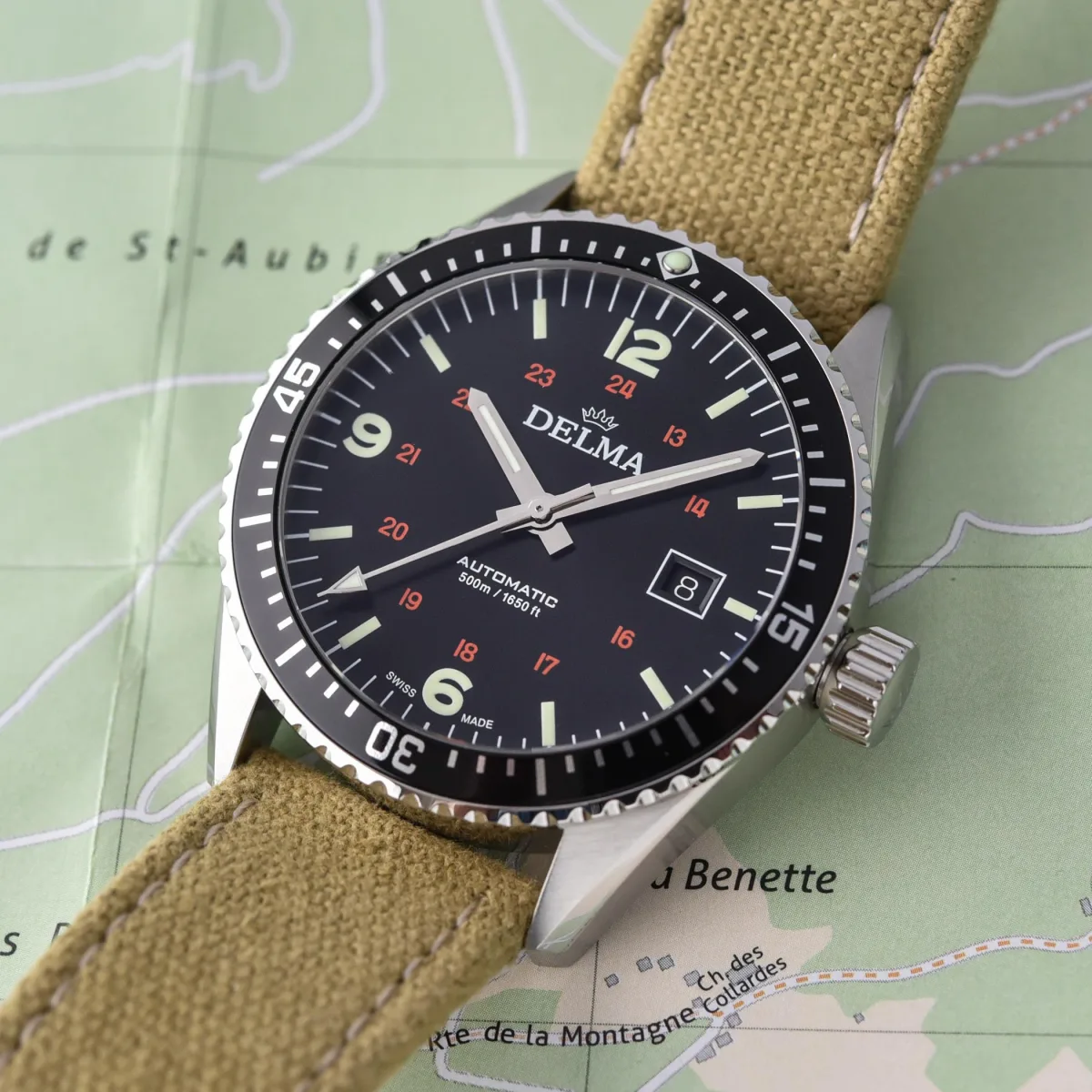 Delma Cayman Field Watch highlighting the stainless steel case