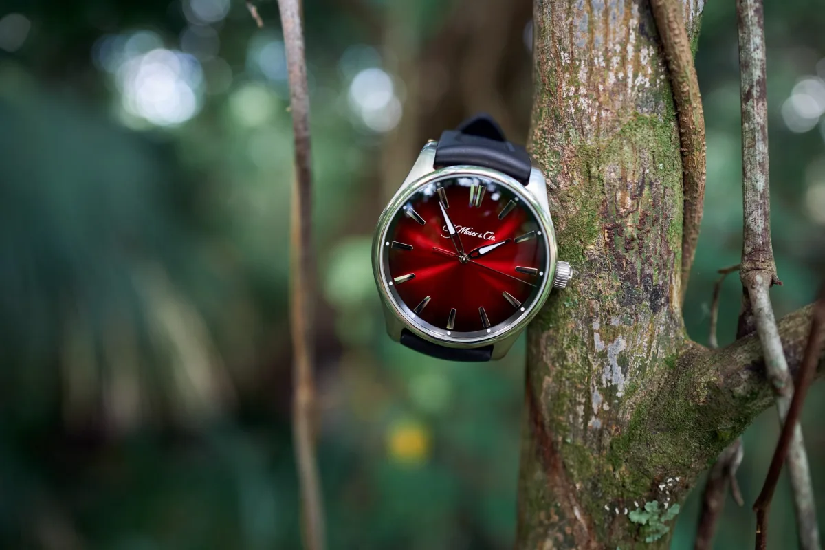 H. Moser & Cie. watch with rubber strap in Florida forest
