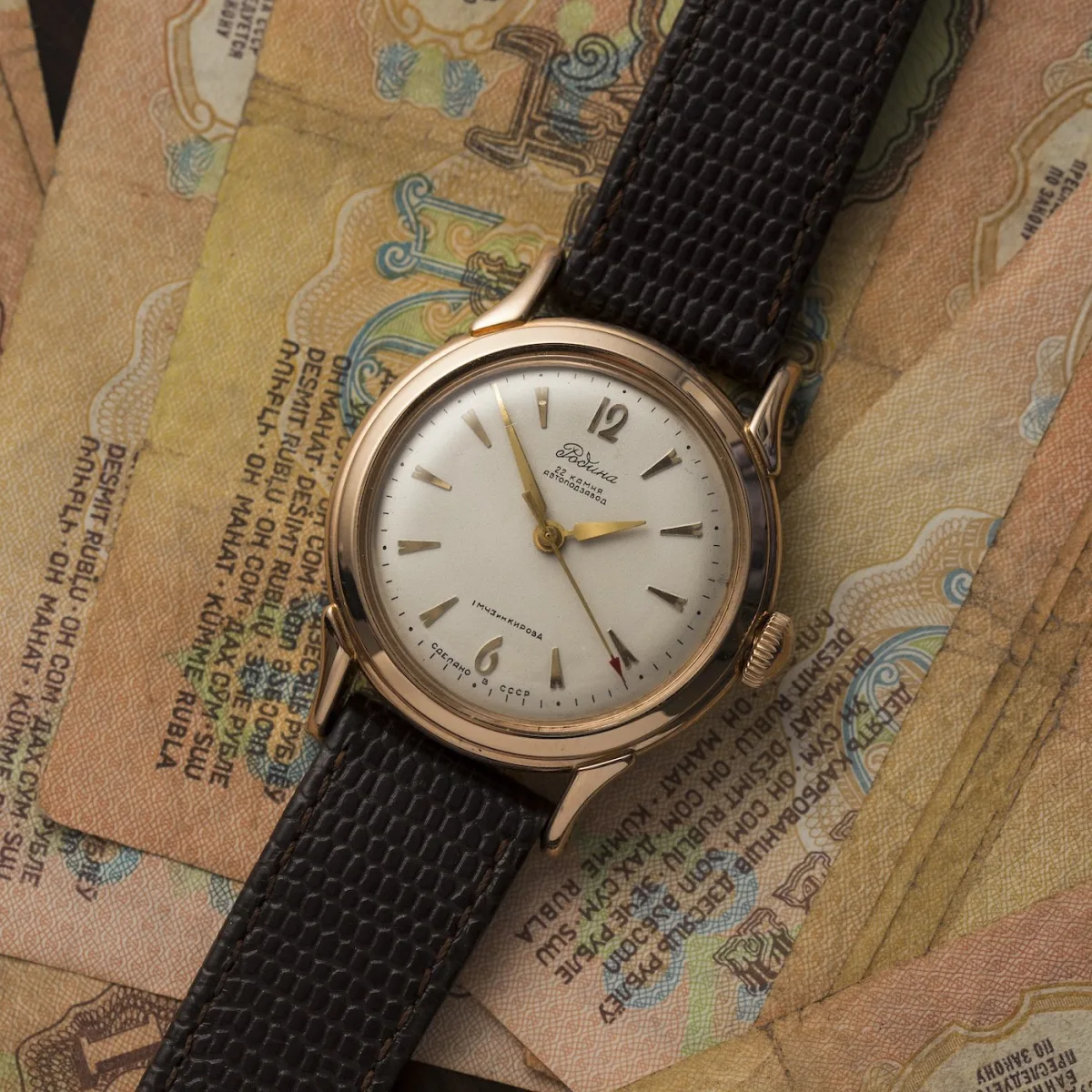 'Rodina' automatic watch with gold case