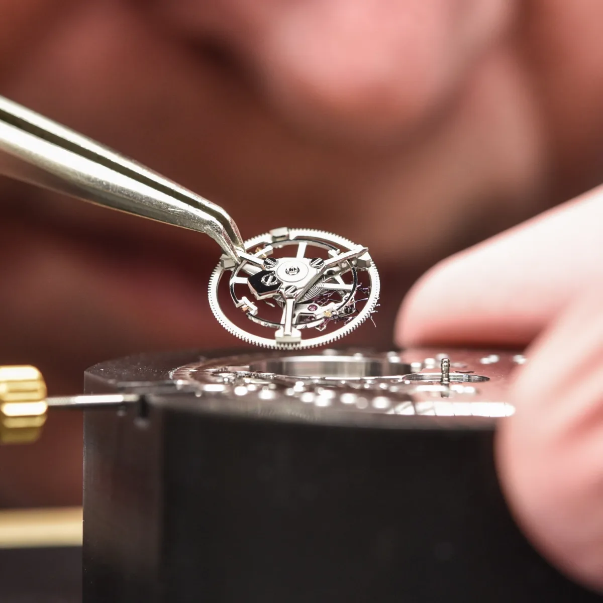 Tourbillon regulator mechanism illustration
