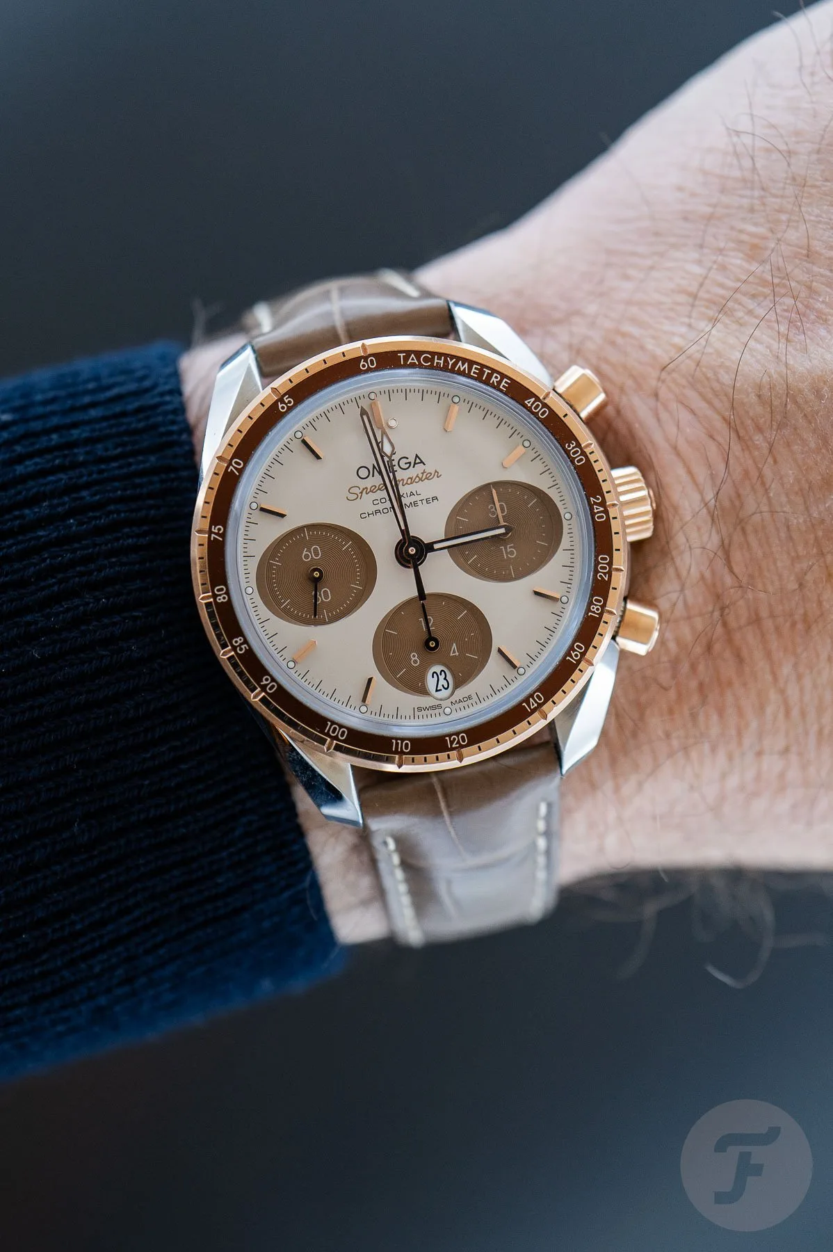 Omega Speedmaster 38 Cappuccino model
