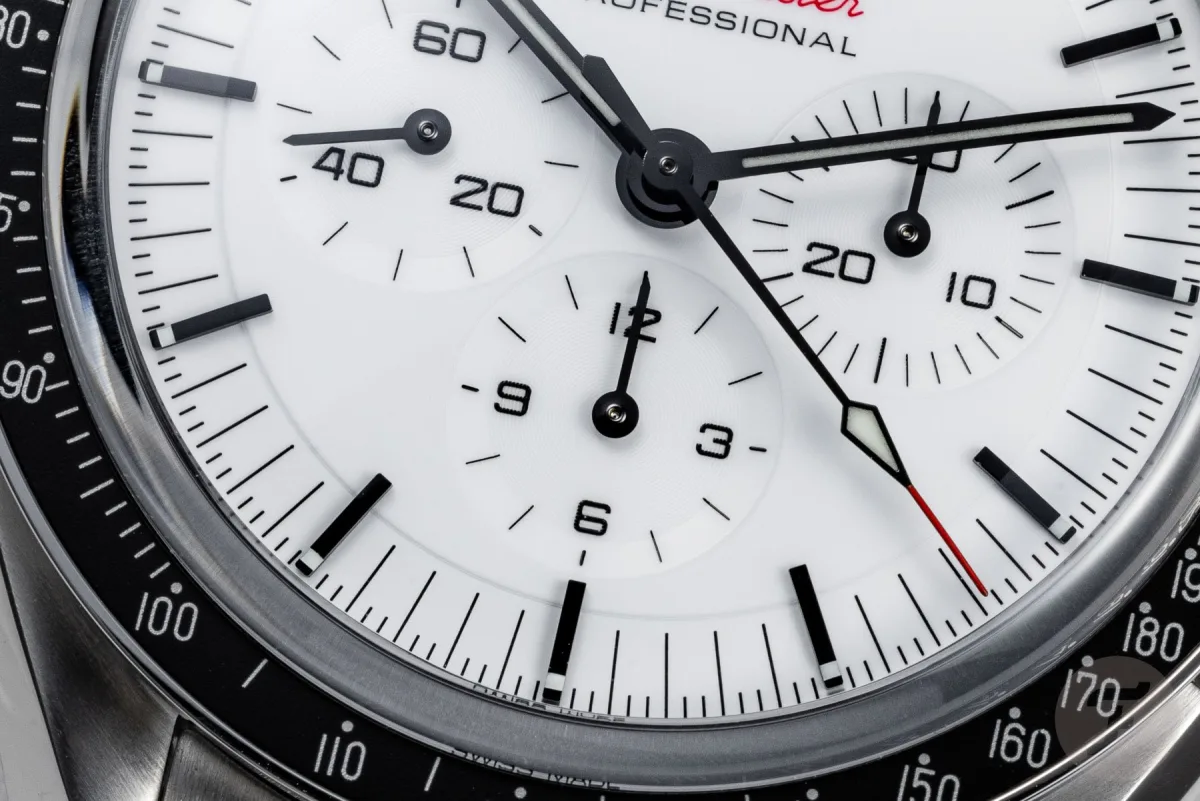 Various white dial watches in a collection