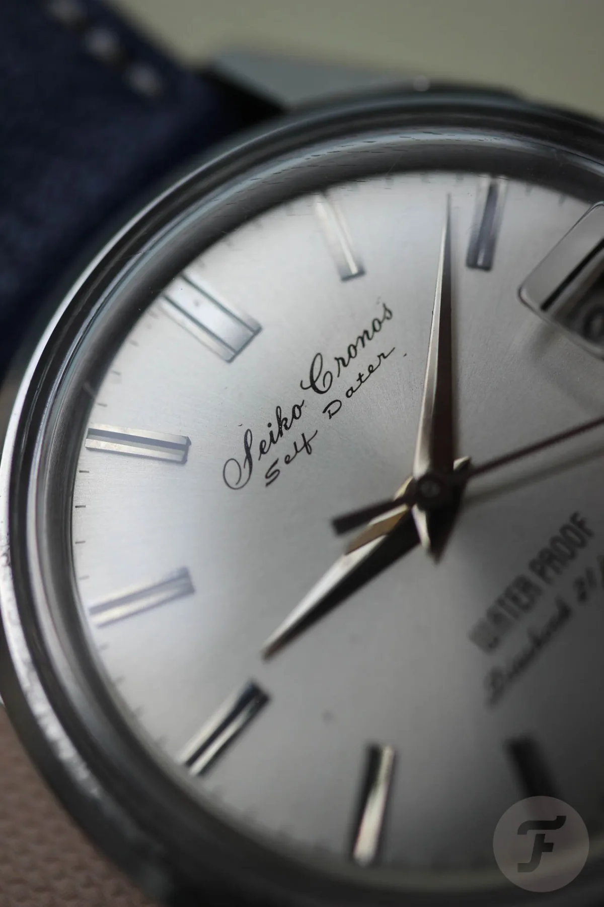 Seiko Cronos watch on wrist with wide lugs