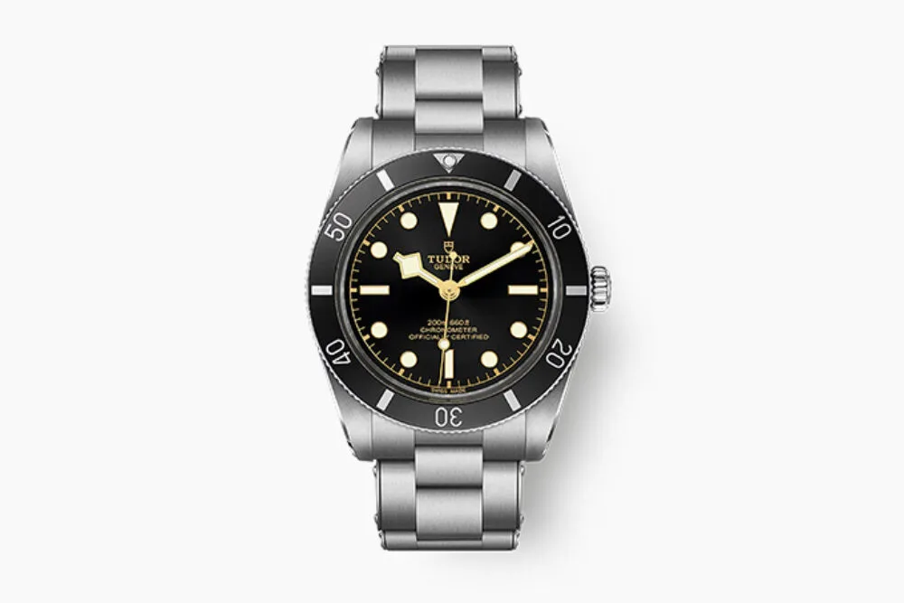 Tudor Black Bay 54 diving watch