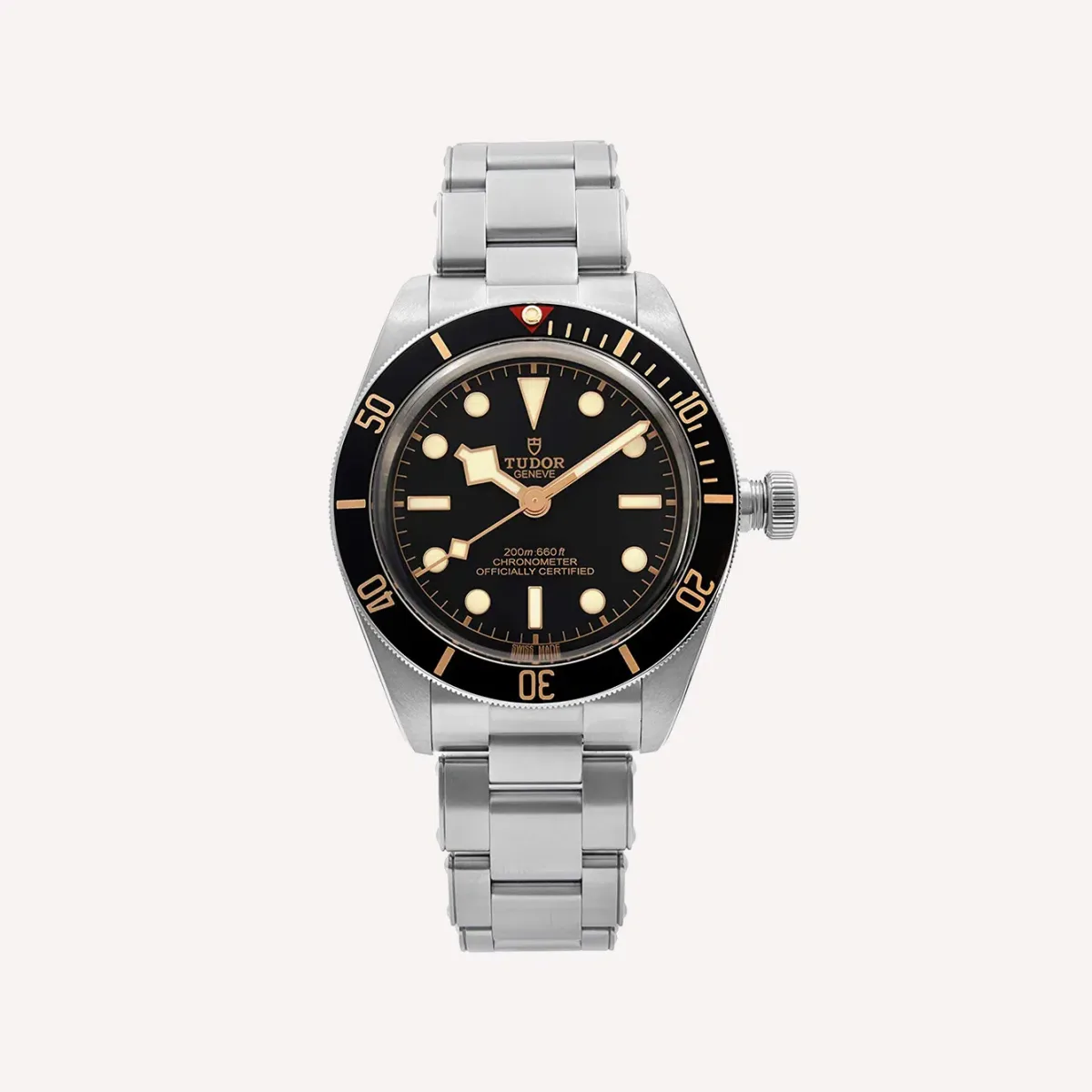 Tudor Black Bay watch with classic black-steel design