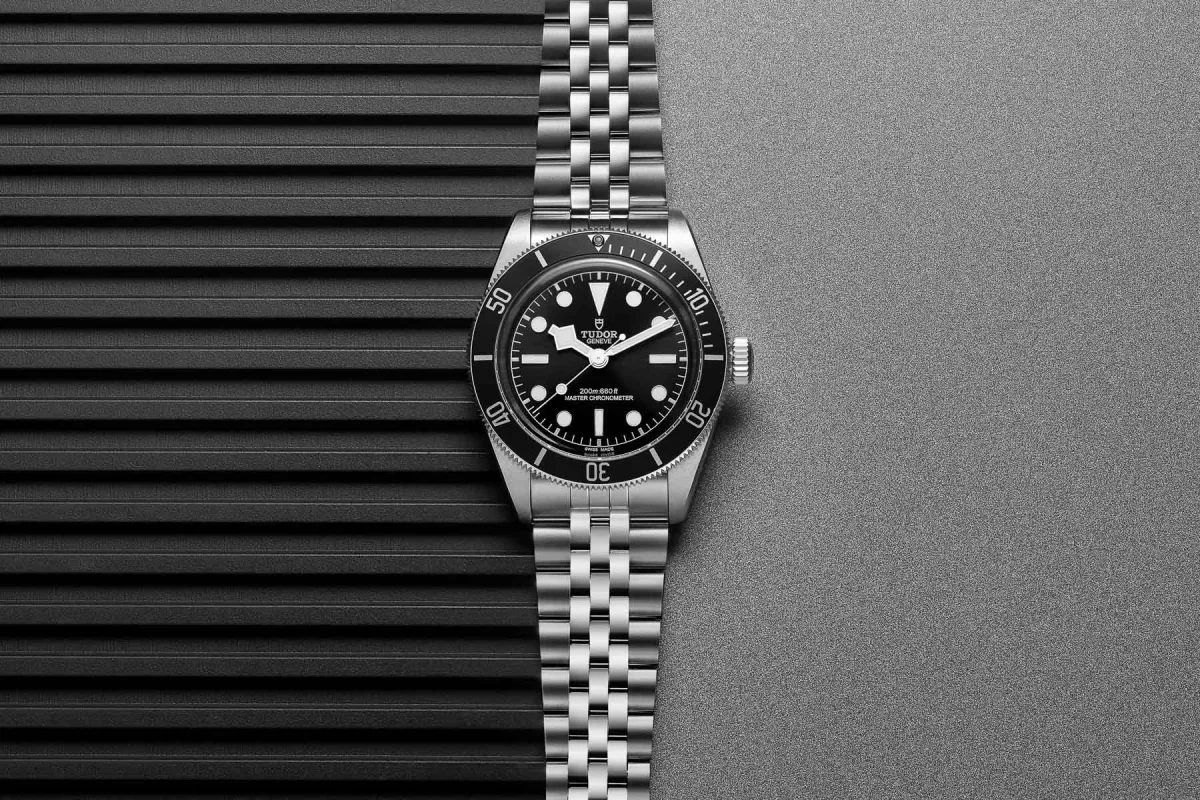 Tudor Black Bay Master Chronometer case detail
