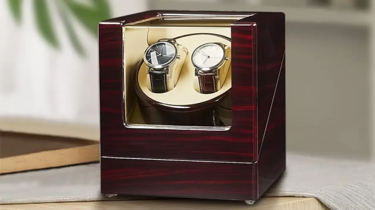 Decorative image of a watch winder