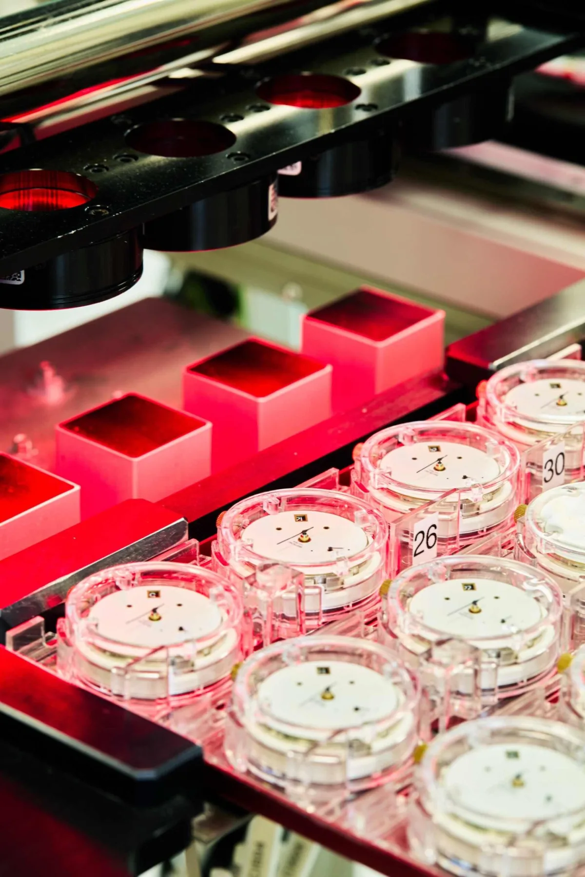 Watch movement undergoing COSC certification