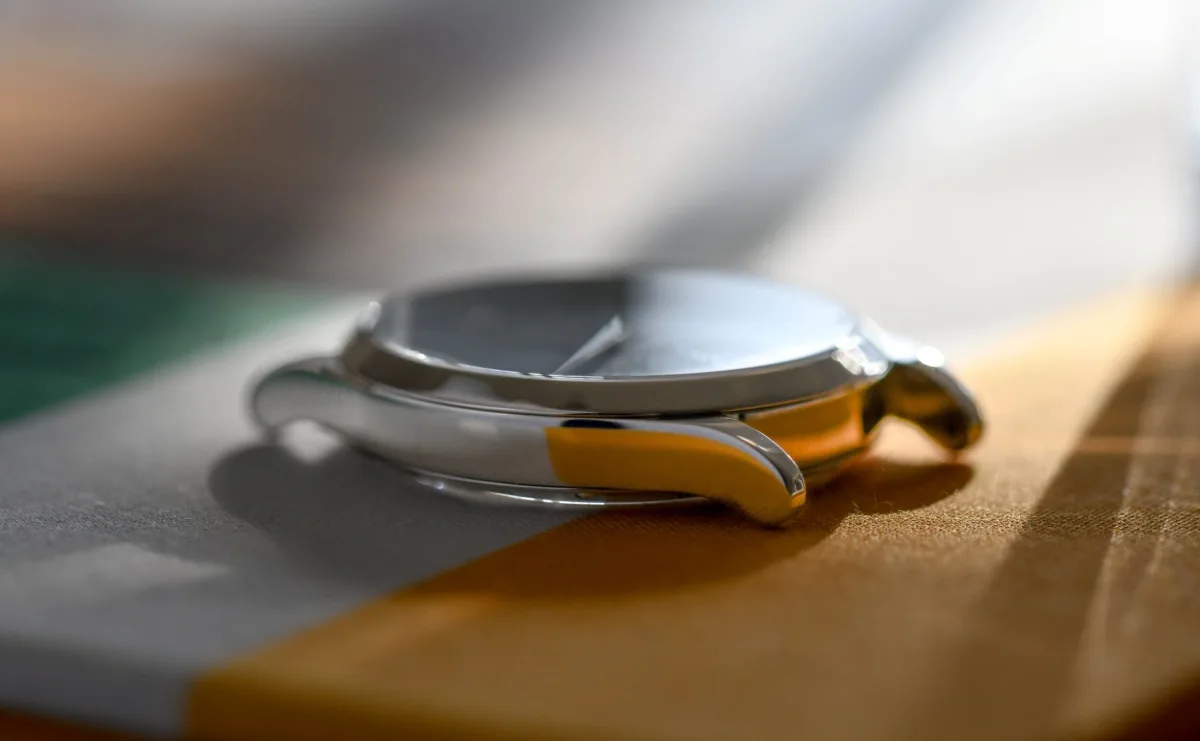 Close-up of Arion Delphinus titanium case
