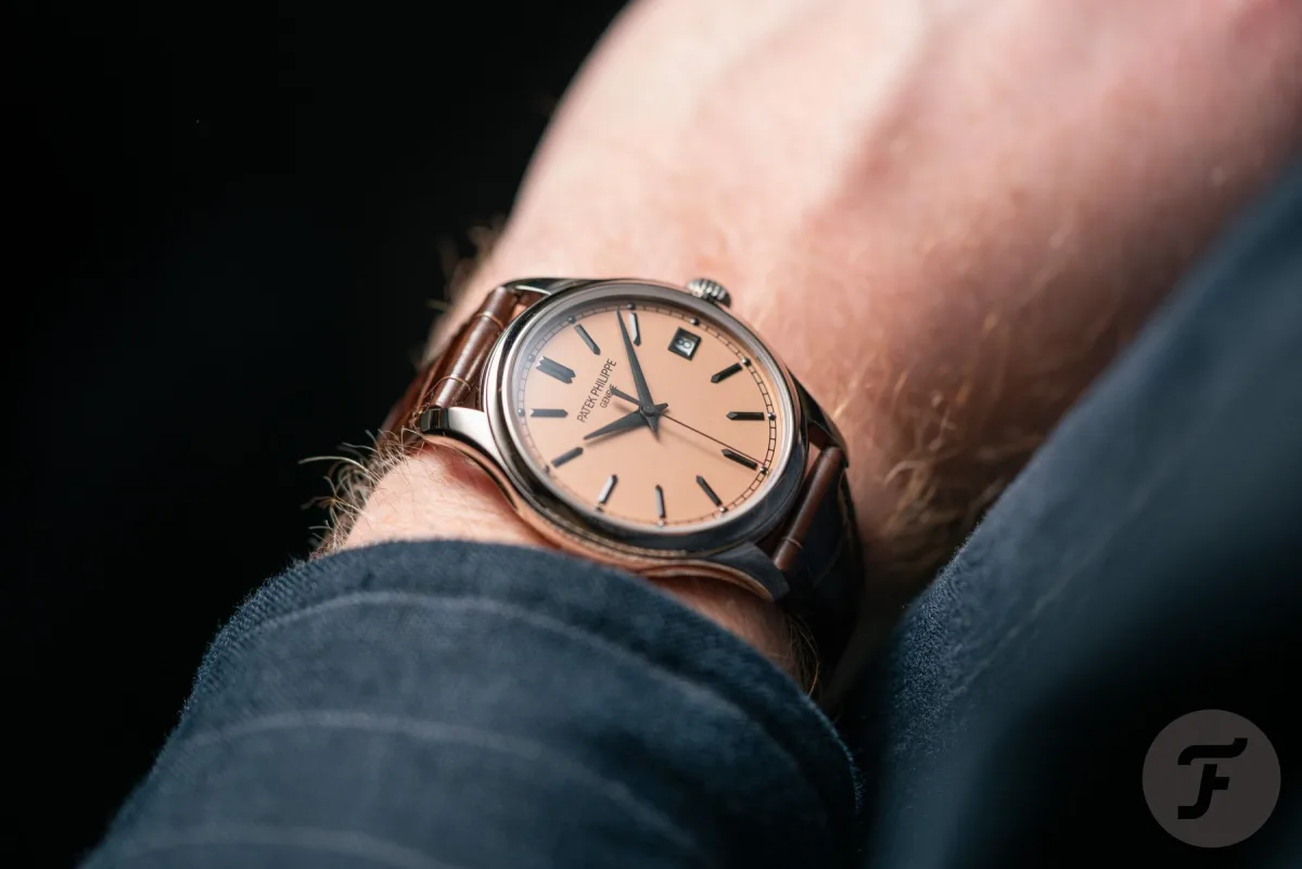 Patek Philippe Calatrava 5227G-015 on wrist.