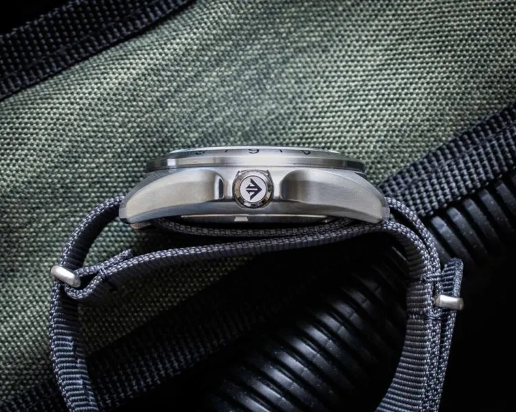 Comparison of Citizen Promaster Land GMT and Promaster Tough
