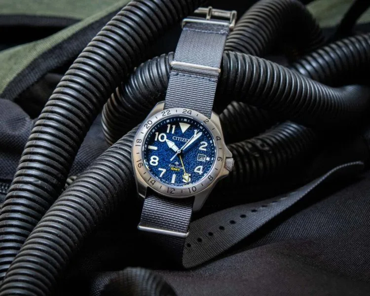 Citizen Promaster Land GMT movement comparison