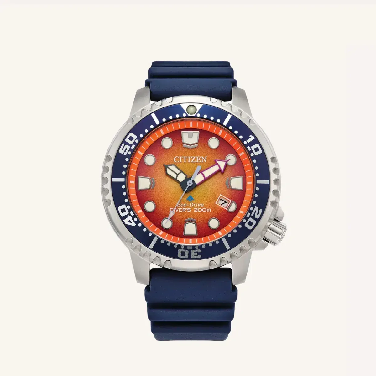 Citizen Promaster Diver on a rocky shore