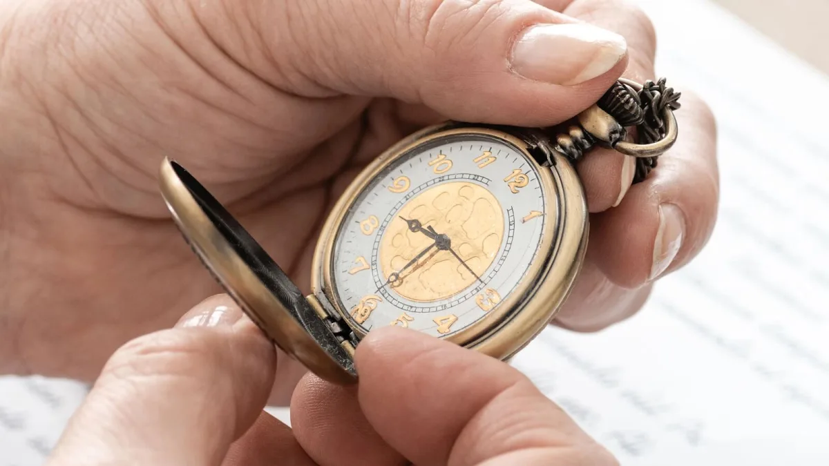 Watch image