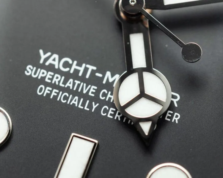 Luxury watch on a wrist